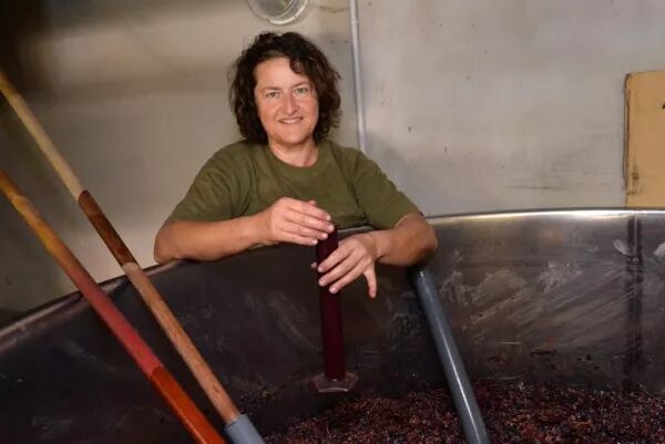 Degustation de vins d' Alsace