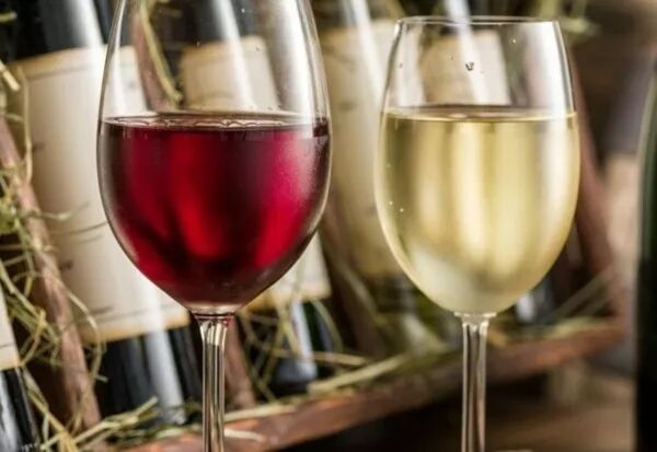 Degustation de vins italiens